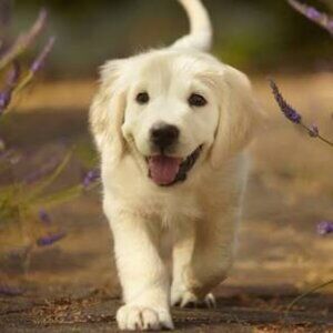 FOLLOW FOR GOOD DEALS DON'T BUY